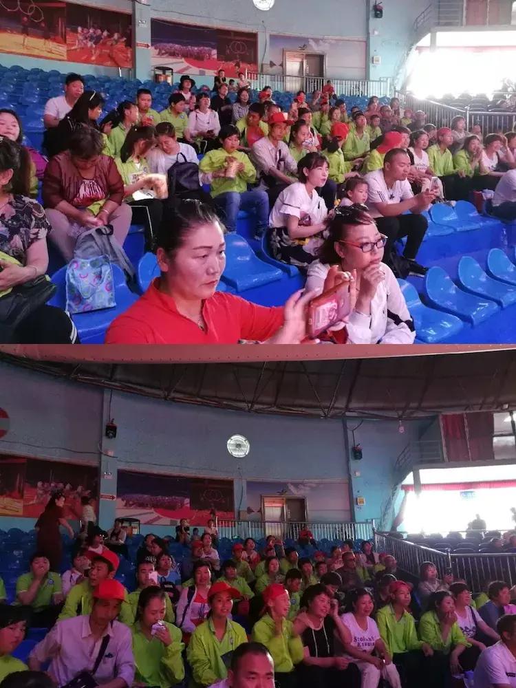 轿车旅行版，探索多功能性与舒适性的完美结合