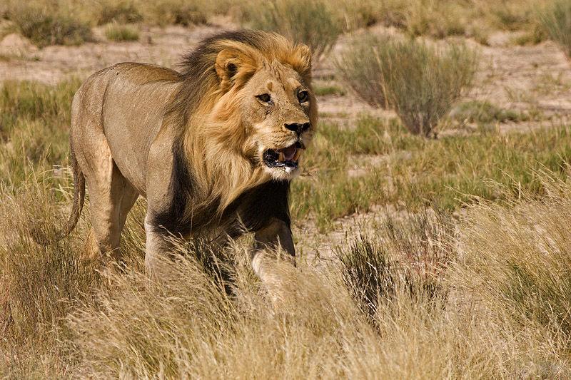 自驾游必备，如何准备完美的食物清单