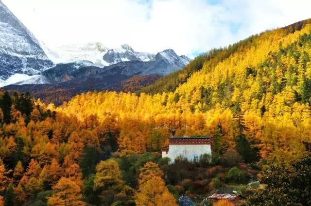 穿越山川湖海，旅游汽车的终极体验