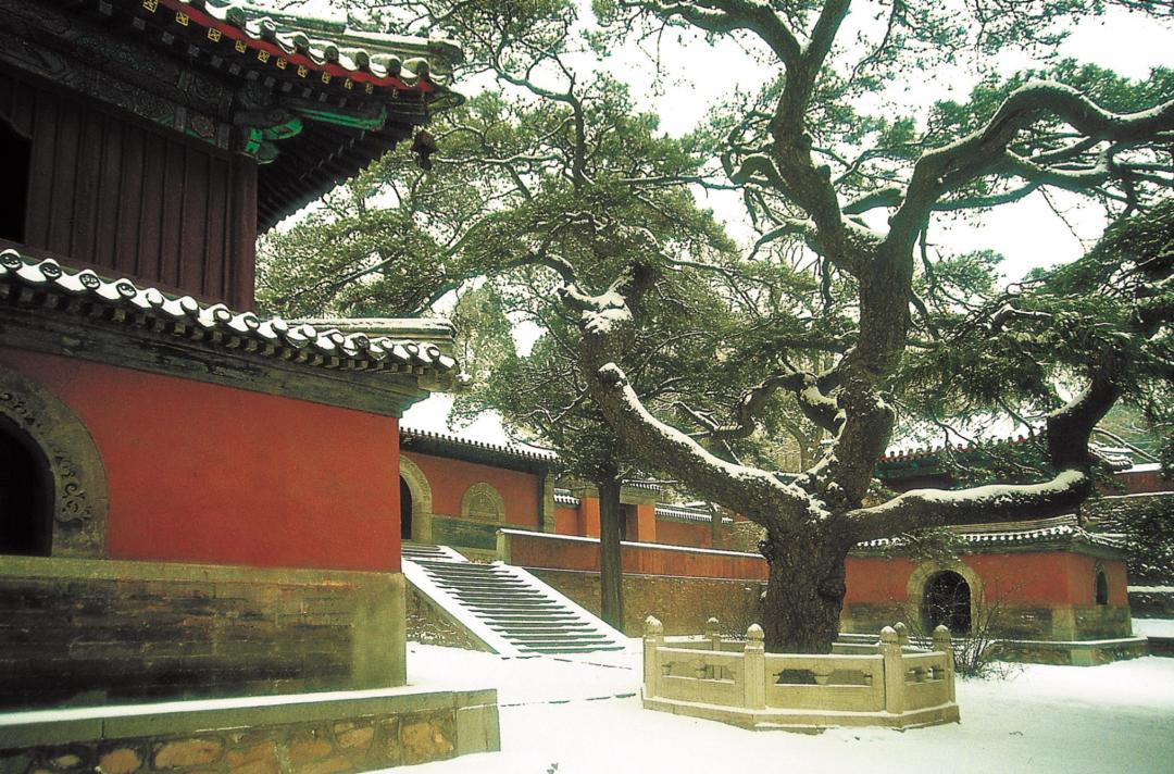 长安汽车，中国汽车工业的璀璨明珠—全面解析长安汽车介绍视频