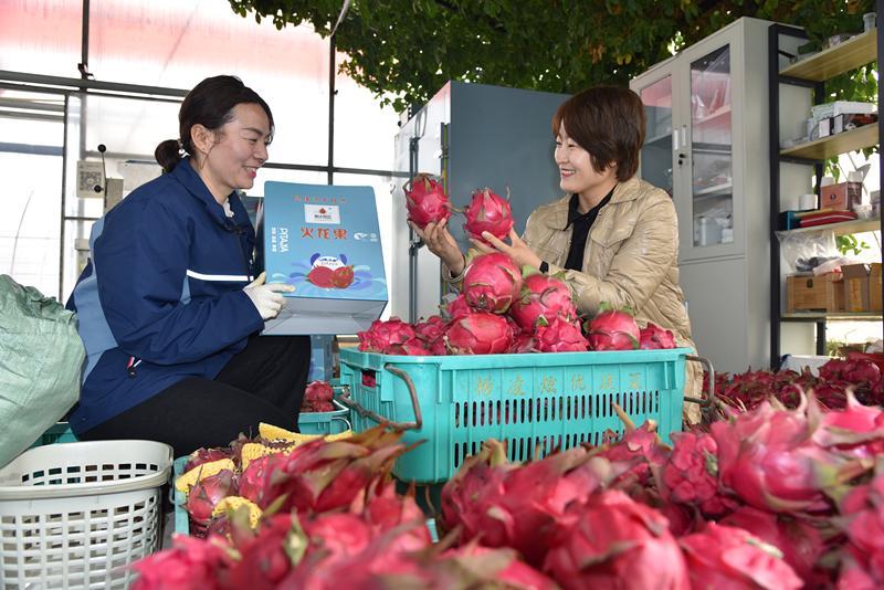 四五万预算，自动挡新车推荐指南